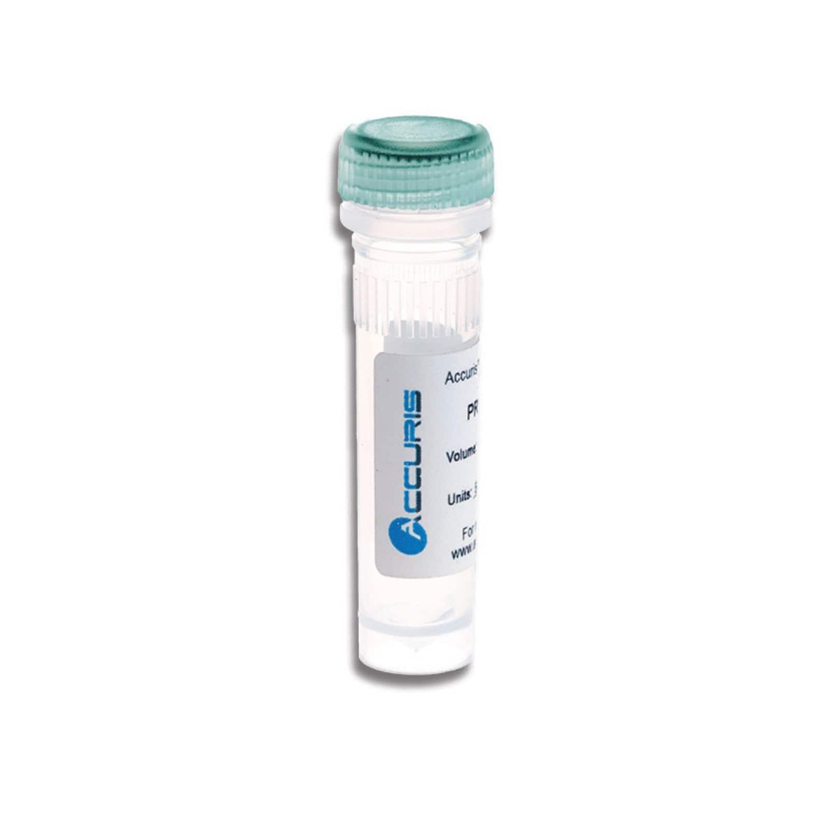 qMax Green, High Rox qPCR Mix